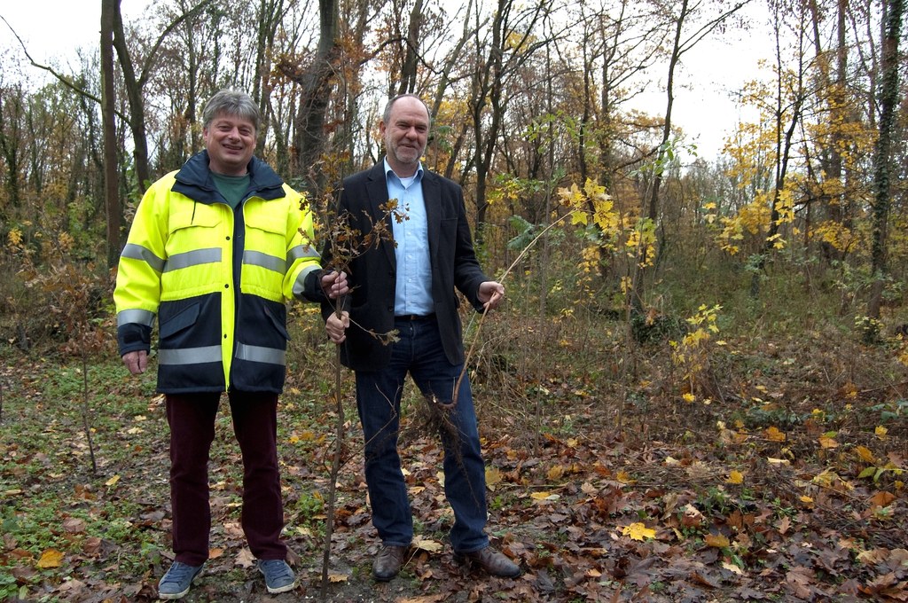 Wolfgang Lenhart (rechts), Bereichsleiter Technik bei den Stadtwerken Neuss, und Projektleiter Dieter Radermacher begutachten die Aufforstungsarbeiten