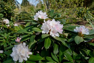 Stadt Neuss - 2020-04-08 - Erweiterung Botanischer Garten 09.jpg