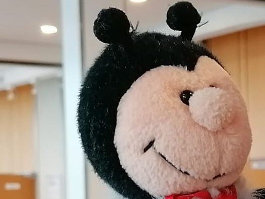 Käferman Stofffigur vermisst Käferman Stofffigur vermisst