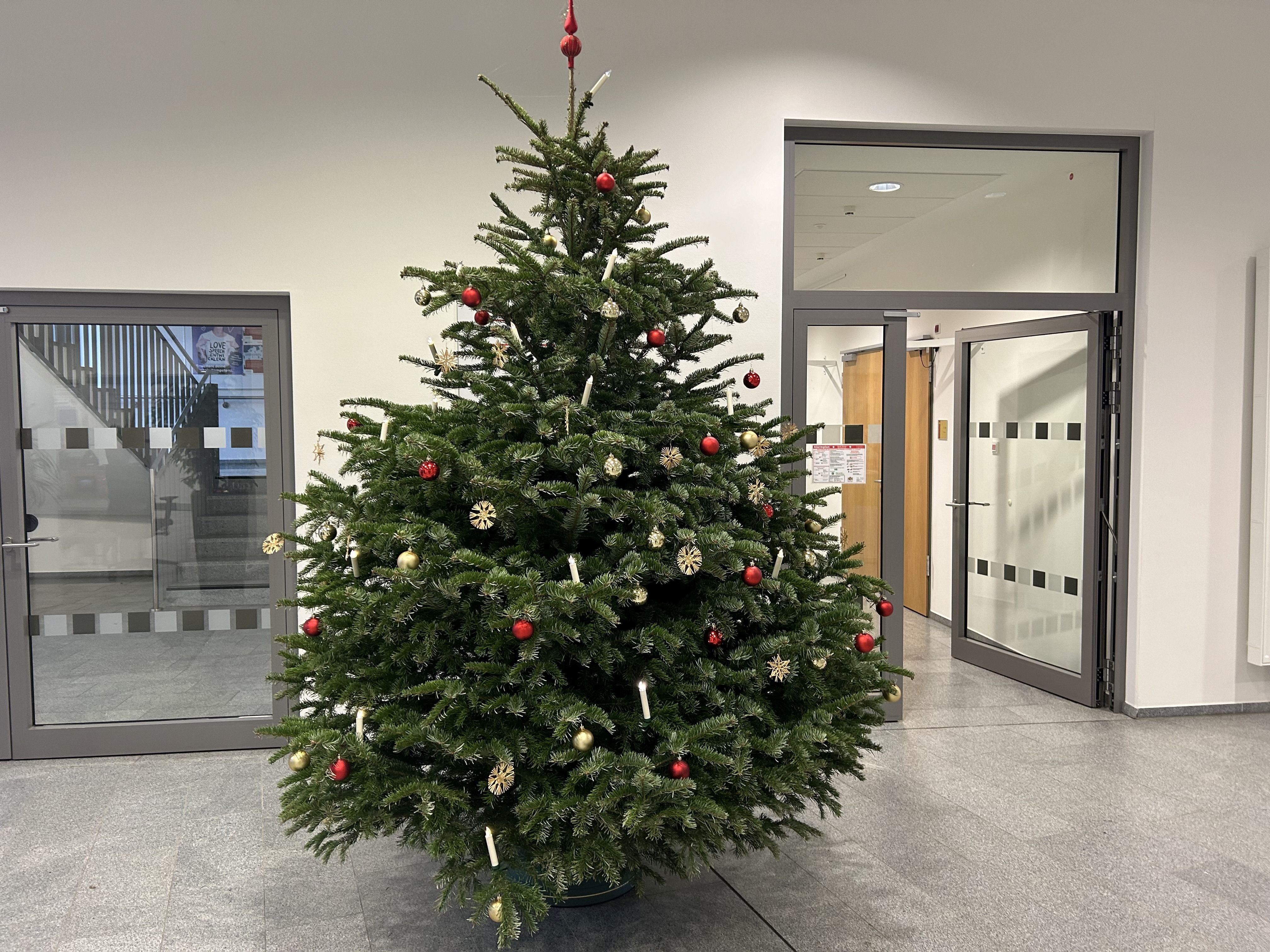 Frohe Weihnachten ! Frohe Weihnachten !