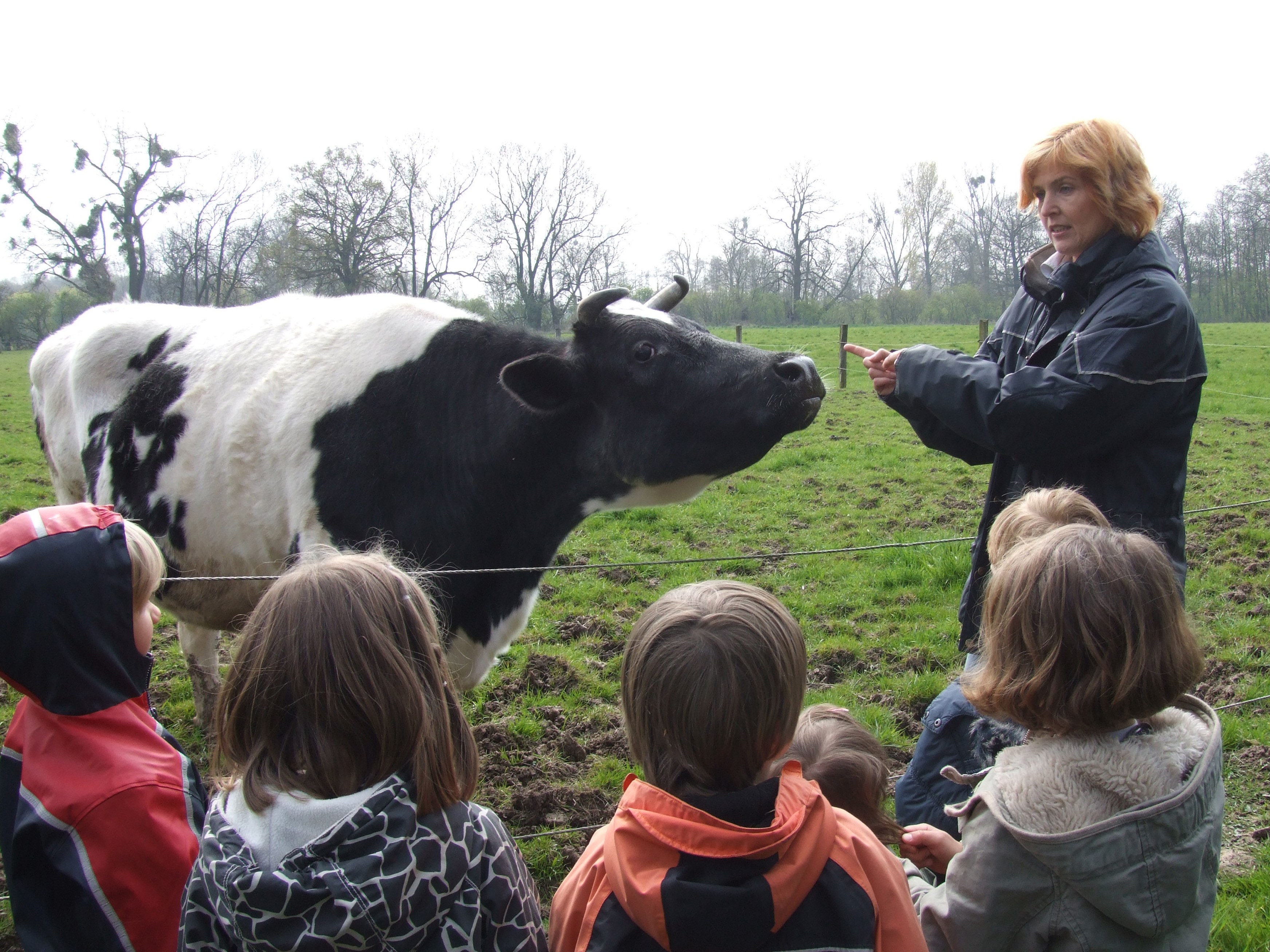 Hoftiere, Holzschiffe oder Specksteinschmuck Hoftiere, Holzschiffe oder Specksteinschmuck