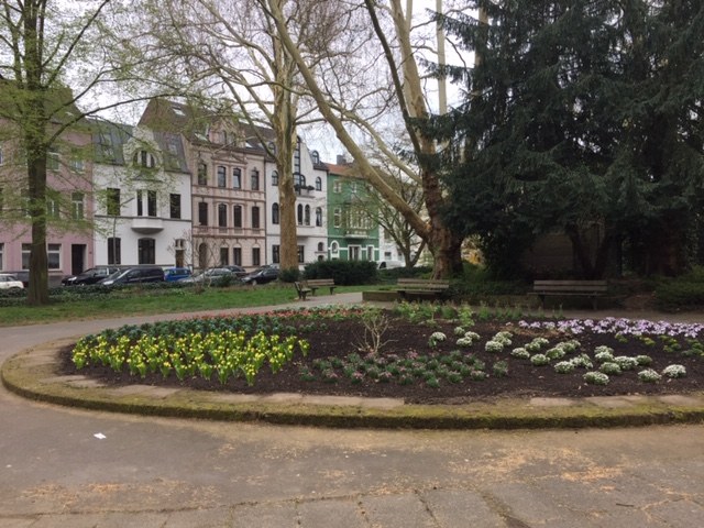 Der Frühling kommt nach Neuss