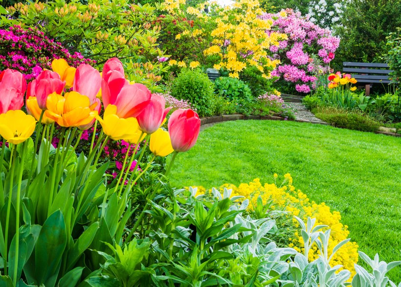 Blühende Vielfalt im eigenen Garten