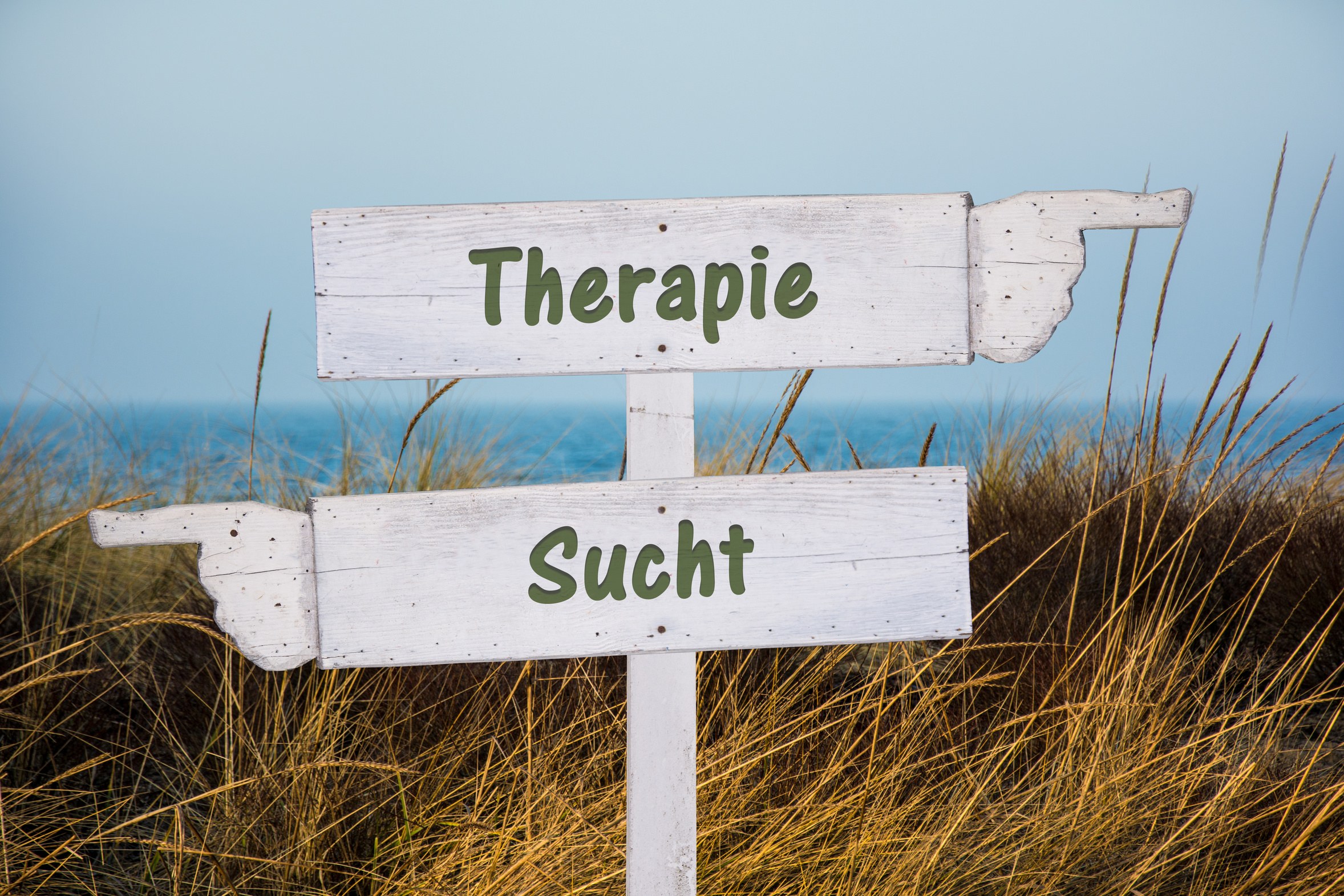 SKOLL-Selbstkontrolltraining – noch Restplätze frei SKOLL-Selbstkontrolltraining – noch Restplätze frei