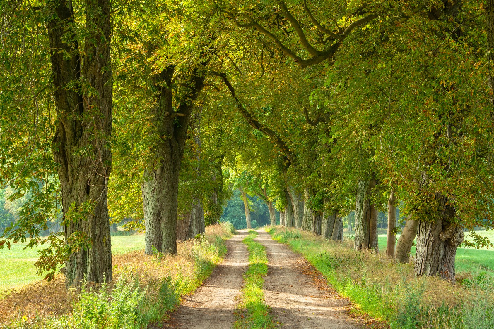 Bürgerdialog Kastanienallee Bürgerdialog Kastanienallee