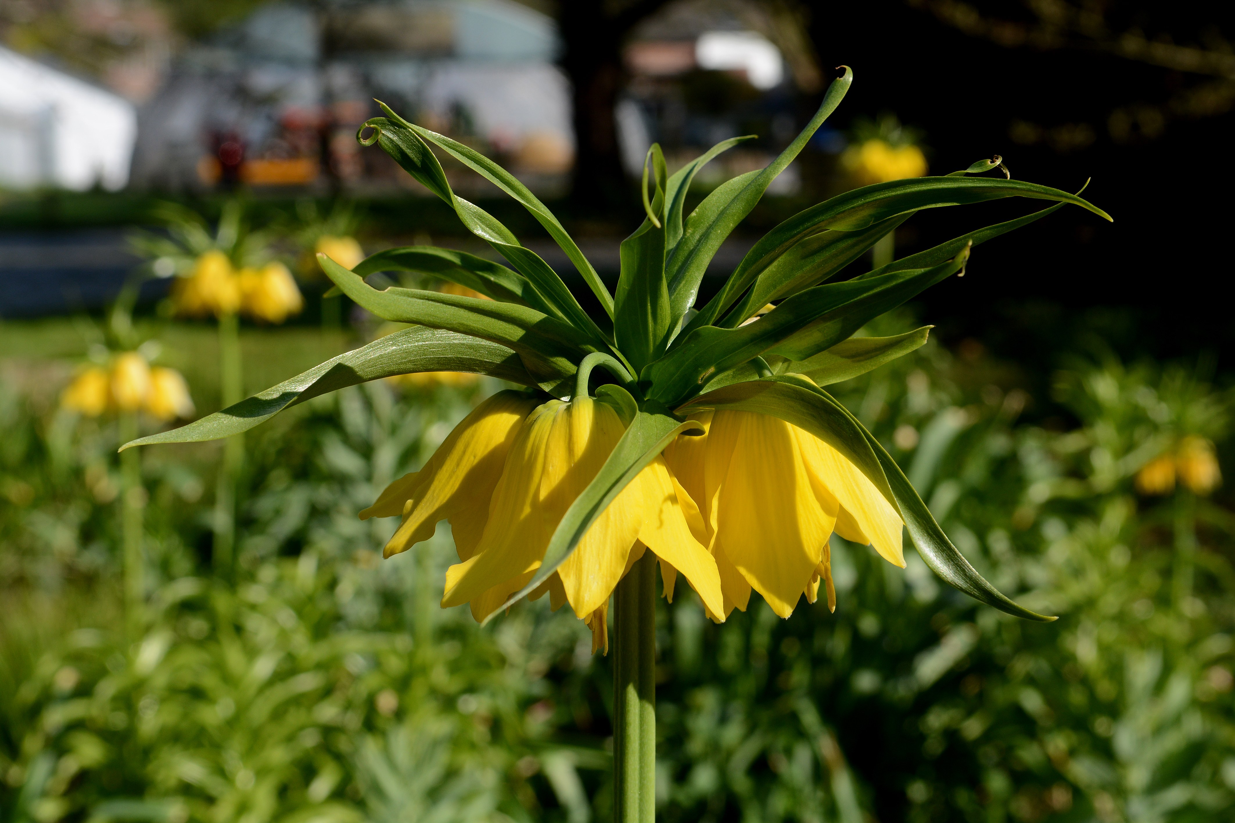 Botanischer Garten wird weiter ausgebaut Botanischer Garten wird weiter ausgebaut