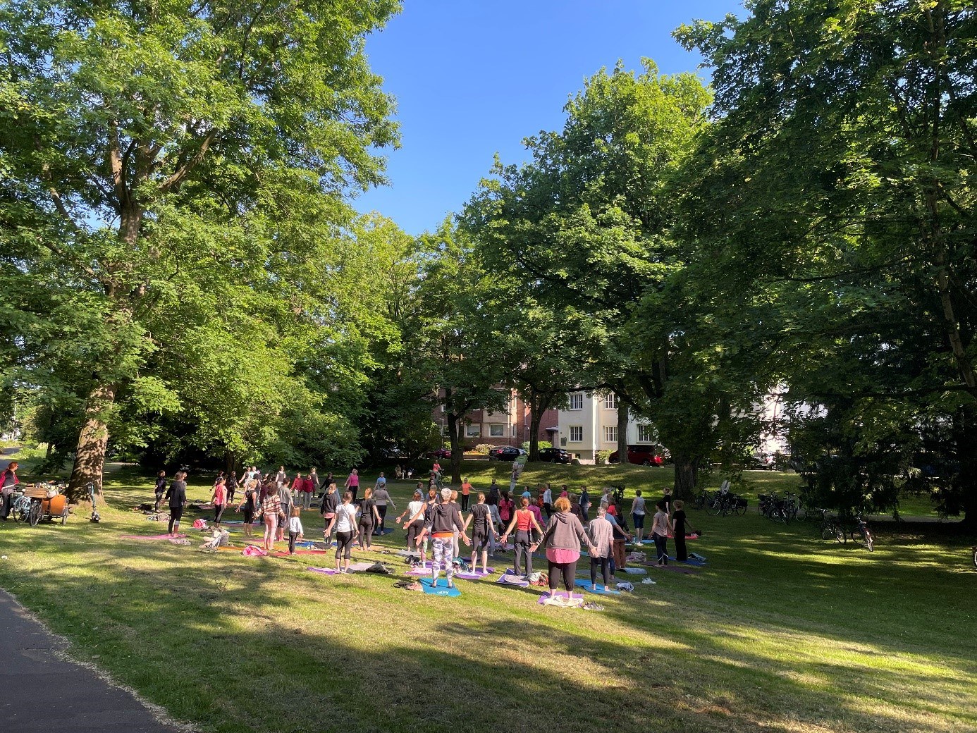 „Sport im Park“-Saison 2023 erfolgreich beendet