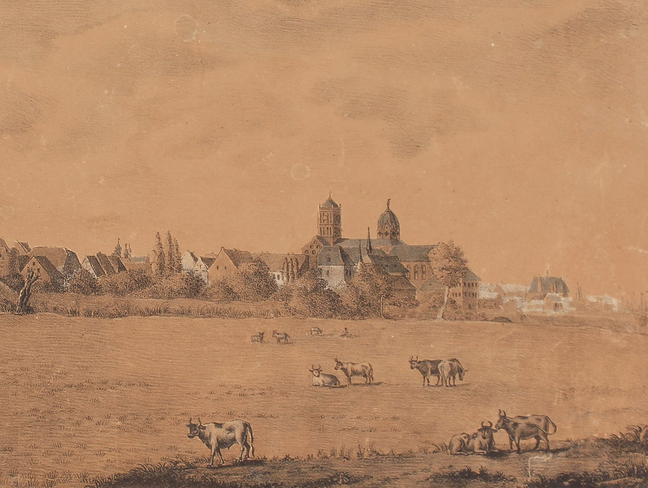 Leicht ausgeblichenes, bukolisches Idyll mit mehreren Rindern auf weitläufigen Weidegründen. Im Hintergrund ist das Quirinus-Münster zu erkennen.