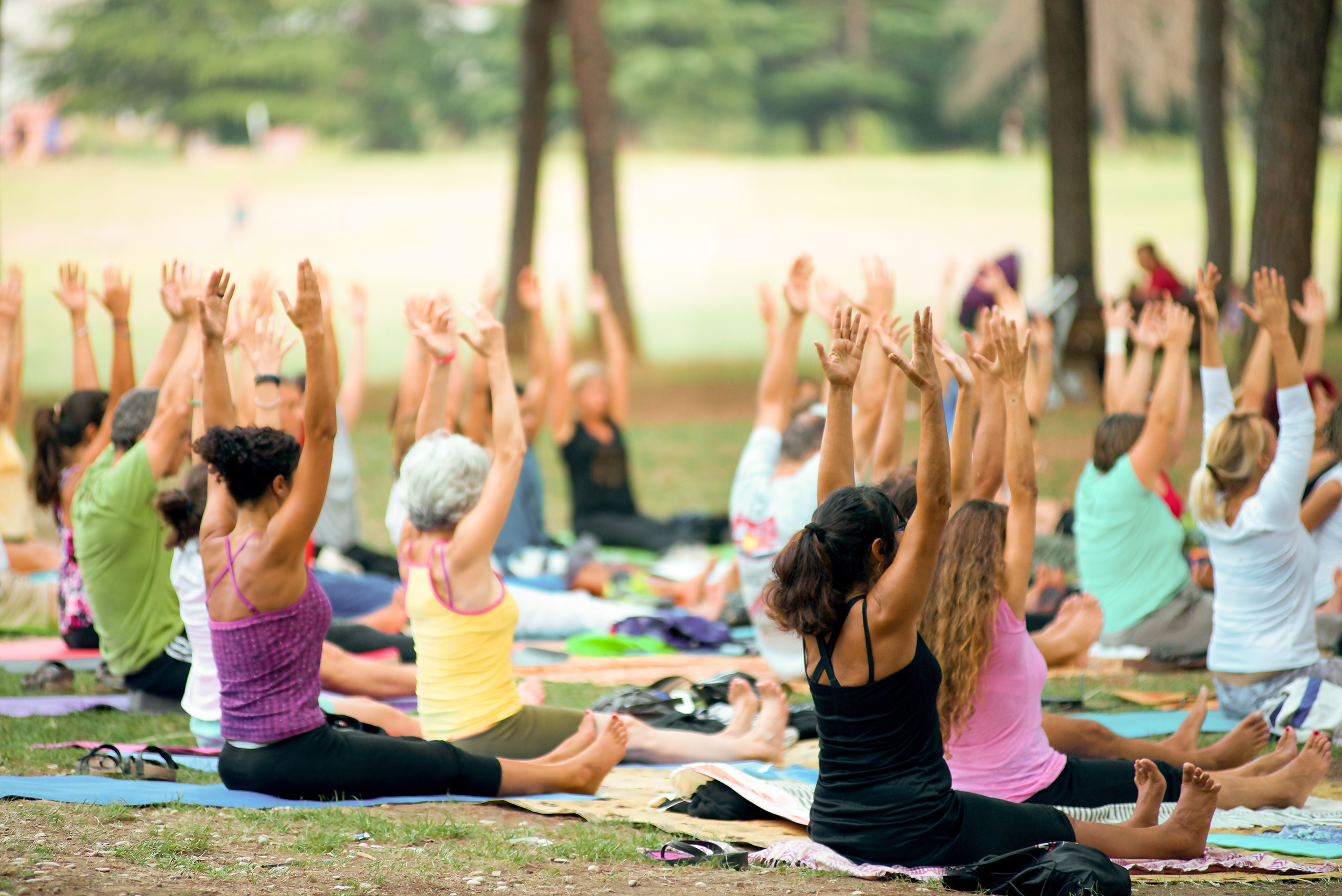 people doing yoga in a park at sunset