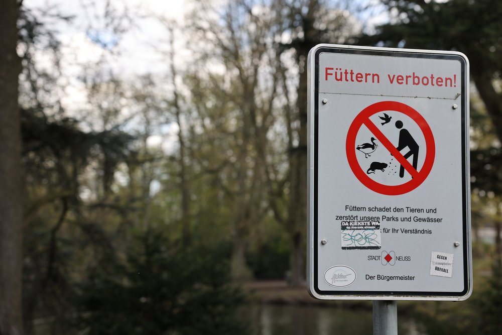 Fütterungsverbot von Wildtieren beachten