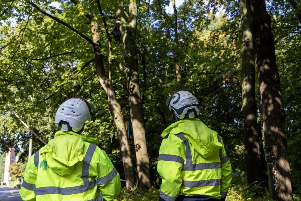 Im Vordergrund, zwei Menschen mit neongelben Warnjacken und Helmen von hinten, sie schauen in Richtung der Bäume im Hintergrund
