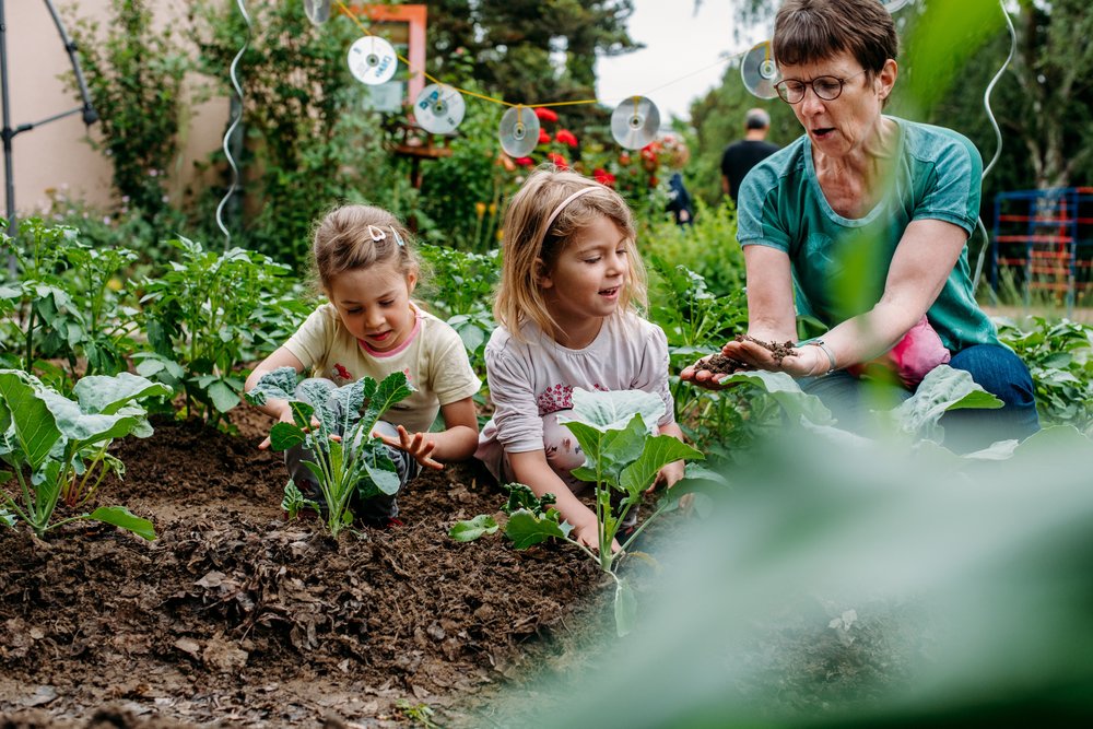Gemeinsam Gemüse anbauen und mehr über Ernährung und Nachhaltigkeit lernen