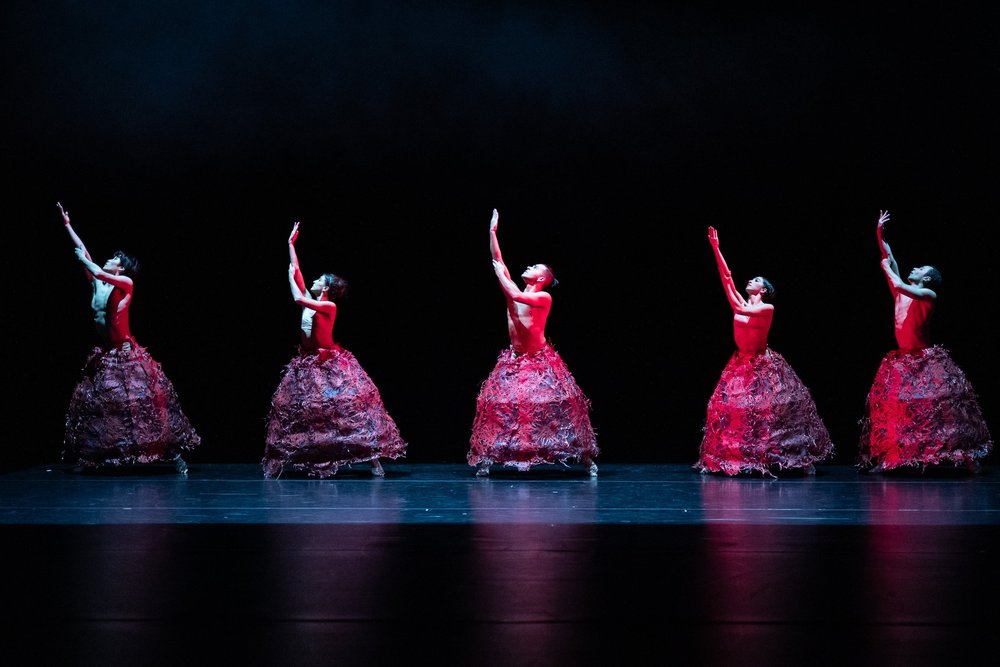 Internationale Tanzwochen: „Corpus“ statt „Casablanca“