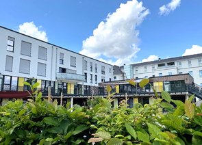 Blick über eine Hecke auf eine moderne Wohnhausanlagen mit Balkonen.