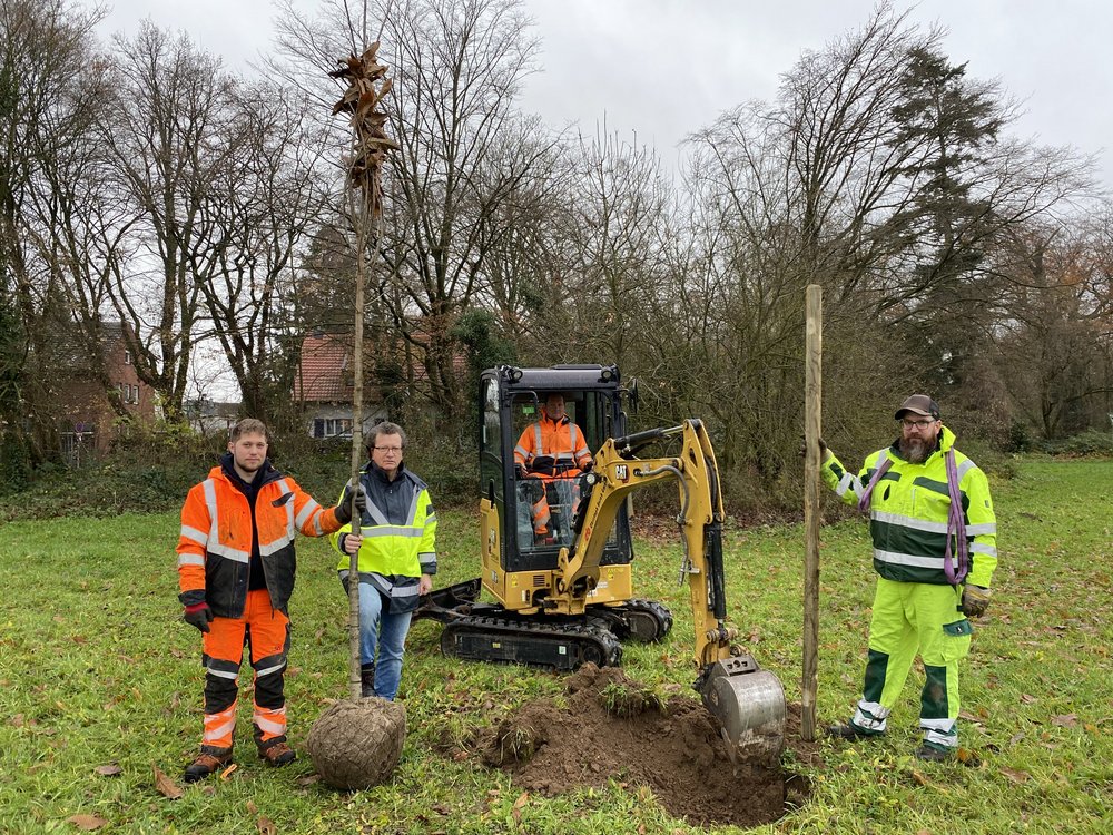 50 Obstbäume gepflanzt