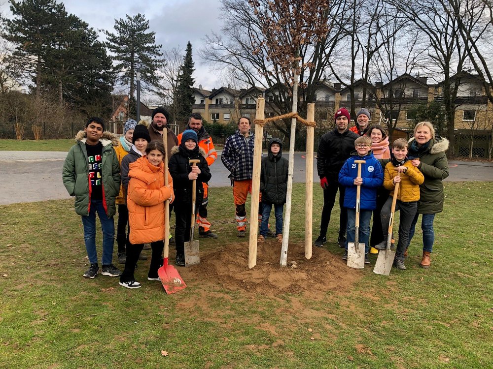 Gesamtschule Norf pflanzt den europäischen Baum des Jahres 2022
