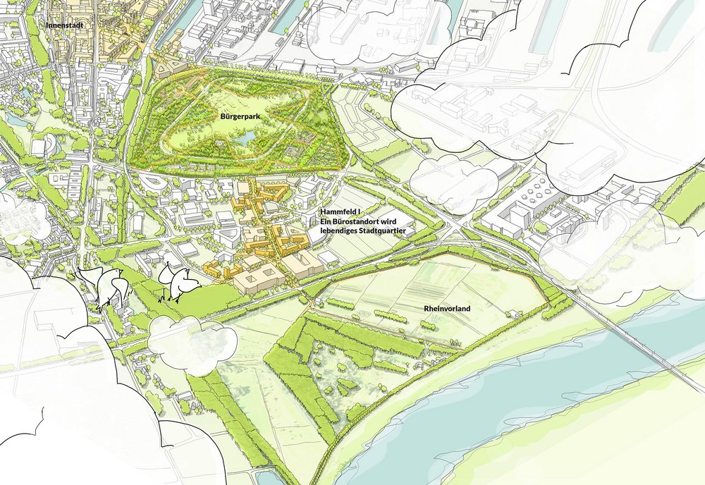 Infoveranstaltung „Neues Hammfeld I“ am 4. Dezember 2023