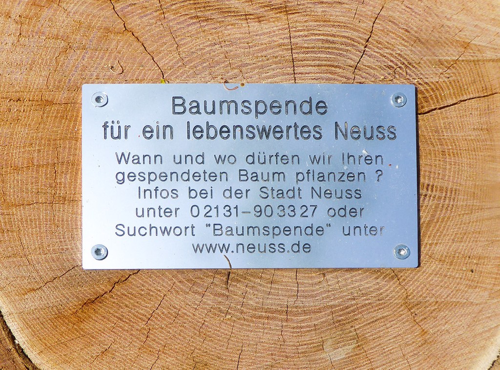 Beispielhafter Naturholzpfahl mit Plakette.