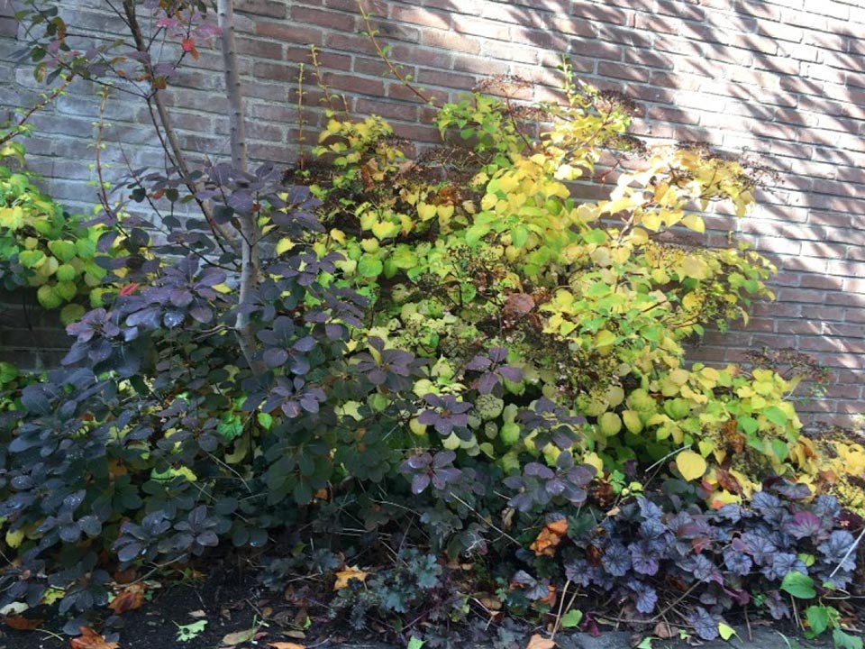 Goldener Oktober im Botanischen Garten der Stadt Neuss